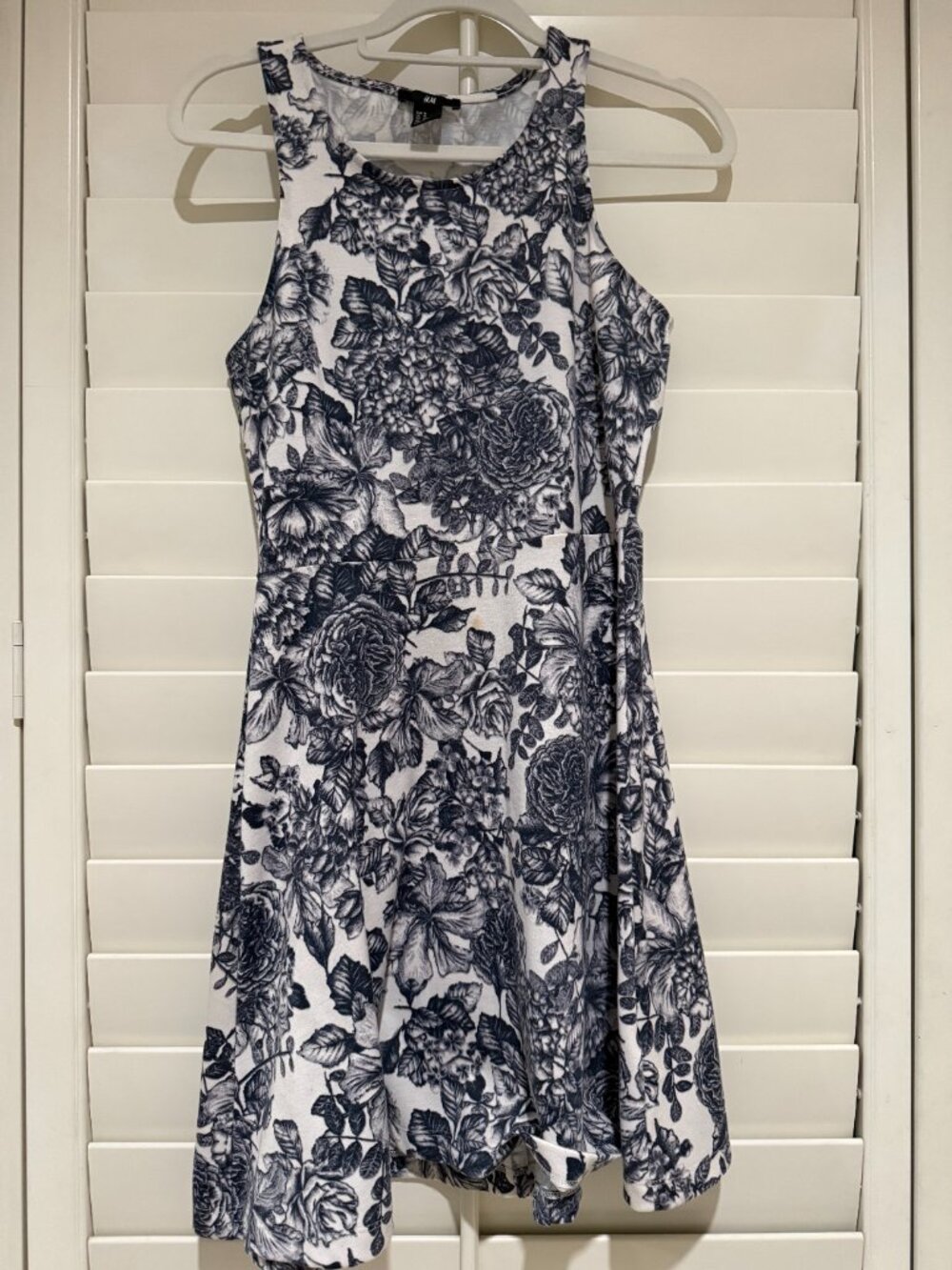 H&M Blue Toile Rose Dress